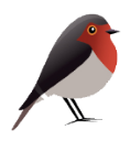 Robin GmbH - Webdesign und SEO